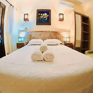 https://pousada-oasis-do-rosa.santa-catarina-brasil.com